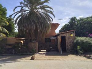 El YaqueEl Yaque Ranch的前面有棕榈树的房子