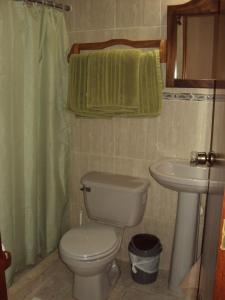 El YaqueEl Yaque Ranch的一间带卫生间和水槽的浴室