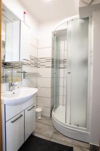 科佩尔Bellevue Molet apartments Koper的一间带水槽和淋浴的浴室