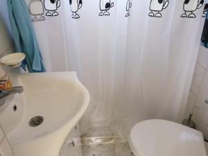 比耶洛波列Zelena livada (Green Meadow)的白色的浴室设有卫生间和水槽。