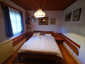 博希尼Hiška pr Bohinjski mami的一间卧室配有一张床和一个吊灯
