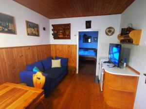 博希尼Hiška pr Bohinjski mami的客厅配有蓝色的沙发和电视
