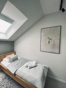 尤斯托尼莫斯基Apartament Dwie Sosny Patrycja的一间卧室配有一张床和天窗