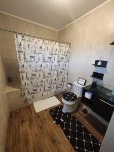普罗维登西亚莱斯岛StoneSide Villa的一间带卫生间和水槽的浴室
