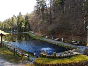 扎雷克Glamping - Kamp Steska的公园里带长椅的水池