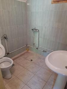 佩奇Villa Mulliri的带淋浴、卫生间和盥洗盆的浴室