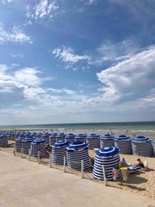 卡布尔kerwatt的海滩上一排蓝白椅子