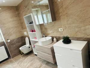 代尔尼采Apartmani LU&LO的一间带水槽、卫生间和镜子的浴室