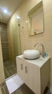 圣玛尔塔Hostal Casa San Pedro的浴室配有盥洗盆和带镜子的淋浴