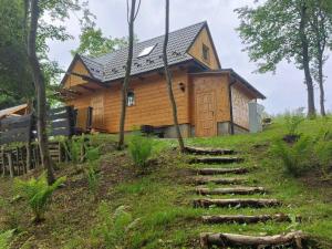GrywałdZa Potokiem的一座位于山丘上的木屋,设有通往山丘的楼梯
