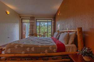 BugambiraRushaga Gorilla Lodge的一间带木床的卧室,位于带窗户的房间内