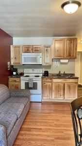 麦金利公园Denali Rainbow Village RV Park and Motel的带沙发和炉灶的厨房 顶部烤箱