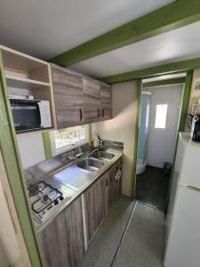Petreto-BicchisanoChalet的一间带水槽和微波炉的小厨房