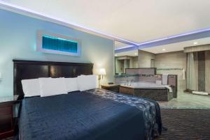 费城Rodeway Inn的酒店客房配有一张床和浴缸。