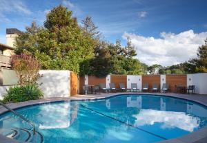 蒙特雷阿夫雷戈酒店的庭院内的游泳池,带椅子和树木