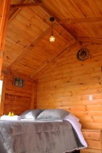 瓜塔维塔Camping & Cabaña San Francisco - Guatavita的小木屋内的卧室,天花板上设有时钟