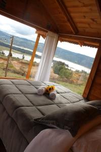 瓜塔维塔Camping & Cabaña San Francisco - Guatavita的一张位于带大窗户的房间内的床铺