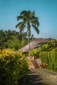 德格拉朗Kanva Ubud的棕榈树和棕榈树的房子