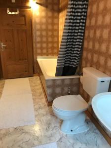 瓦尔斯Apartment Verena的浴室配有卫生间、盥洗盆和浴缸。