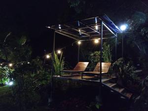 蒙泰韦尔德哥斯达黎加Jungle Living Tree Houses的夜间带椅子和灯的凉亭