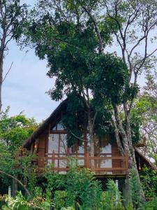 贝里胡罗亚Kale Cottage Belihuloya的树中间的木屋