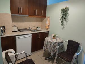 弗赖Borianoula Apartments的厨房配有桌椅和水槽。