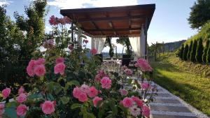 KojskoValentina Guest House at Pintar Wine Estate的一个带粉红色玫瑰和凉亭的花园