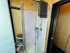HangatikiWaitomo Retreat的浴室里设有玻璃门淋浴