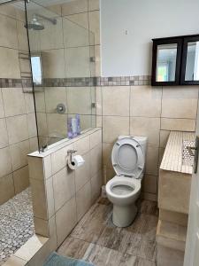 蒙塔古Dux的一间带卫生间和玻璃淋浴间的浴室
