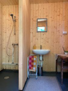 黑德梅埃斯泰Suurkivi Nature Escape的一间带水槽和淋浴的浴室