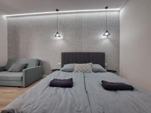 瓦沙罗什瑙梅尼Belvárosi Lux Apartman的一间卧室配有一张大床和一张沙发