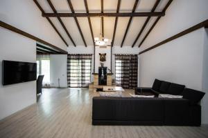 布泽乌Casa Arcadia Buzau Monteoru的客厅配有黑色沙发和电视