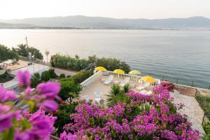 特罗吉尔Villa Fjaba - by the sea - with the big terraces & great sea view的紫色花和雨伞的水景