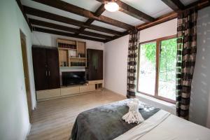 布泽乌Casa Arcadia Buzau Monteoru的一间卧室设有一张床、一台电视和一个窗口。