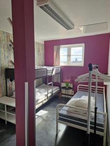 斯德哥尔摩克拉福德广场旅舍的一间卧室设有两张双层床和紫色墙壁