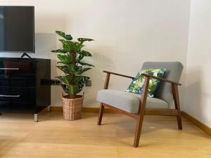 瓦伦西亚Executive STYLE near DownTwon的一间带椅子和植物的客厅