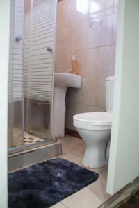 德班Gielex Guest House的浴室配有卫生间、盥洗盆和淋浴。