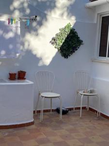 法鲁The Tiles House的两把椅子坐在墙上,墙上有植物