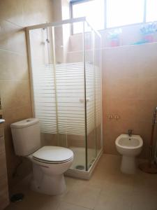 卡帕里卡海岸Caparica Lounge & Terrace的浴室配有卫生间、淋浴和盥洗盆。