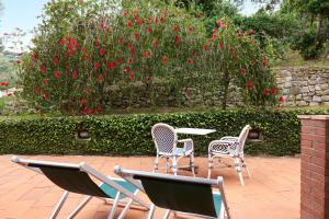 费拉约港赫米蒂奇酒店的花园中种有红色花卉,配有三把椅子和一张桌子