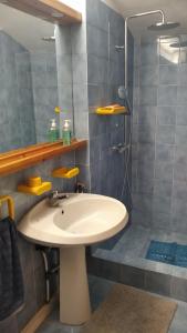 阿奎莱亚Amnis的一间带水槽和淋浴的浴室