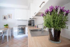 托尔博莱Villetta al lago的厨房在柜台上摆放着紫色花瓶