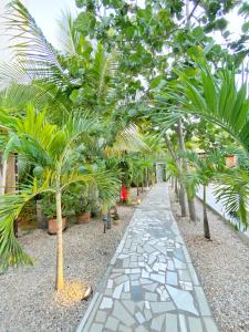 拉罗马纳Green Oasis Hotel的种有棕榈树和步道的花园
