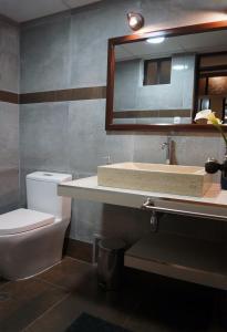 查查波亚斯Posada del Arriero -Hotel的一间带水槽、卫生间和镜子的浴室