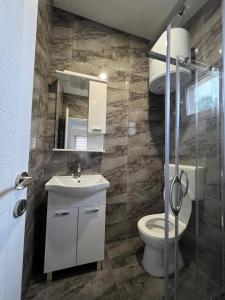 维索科Apartmani Zeleni Vrtovi的一间带卫生间和水槽的浴室