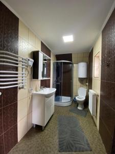 沃罗赫塔Кришталеві вершини的浴室配有卫生间、盥洗盆和淋浴。