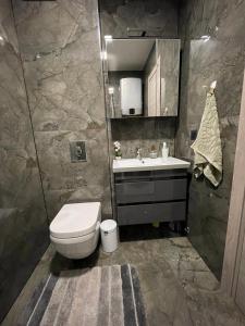 斯普利特Lavanda 2的一间带卫生间、水槽和镜子的浴室