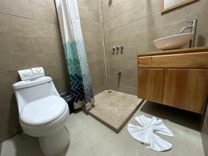 托尔图格罗Tuanis Guest House的一间带卫生间和水槽的浴室