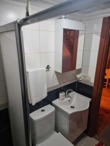 艾德亚耶拉西Ayder Rainbow Gokkusagi的一间带卫生间、水槽和镜子的浴室