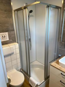 多恩比恩Tiny Haus Dornbirn的带淋浴、卫生间和盥洗盆的浴室